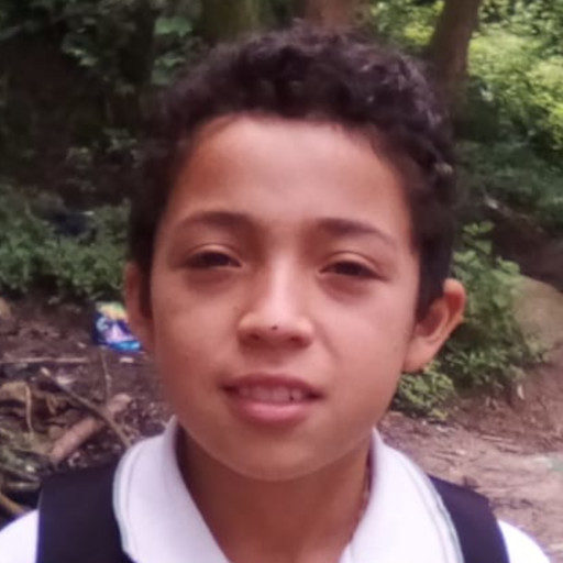 Nery Oswaldo de Jesús