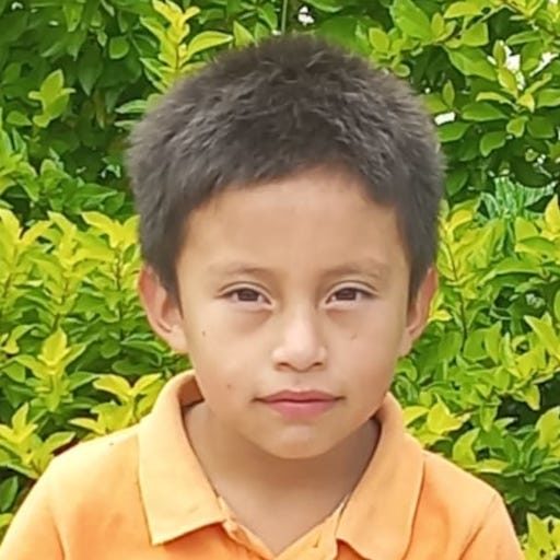 José Iván