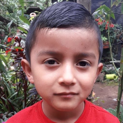 Cristofer Manuel